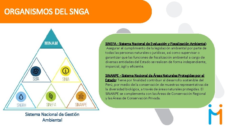 ORGANISMOS DEL SNGA SINEFA - Sistema Nacional de Evaluación y Fiscalización Ambiental: Asegurar el