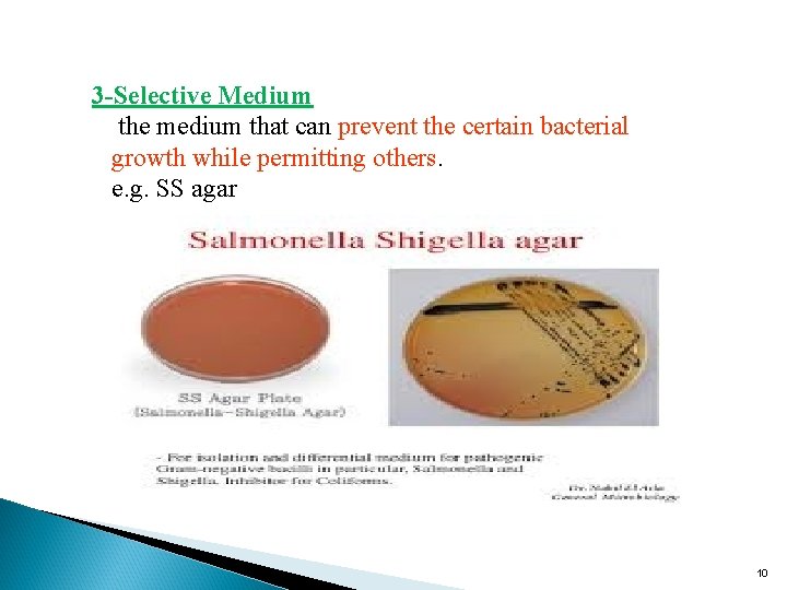 3 -Selective Medium the medium that can prevent the certain bacterial growth while permitting