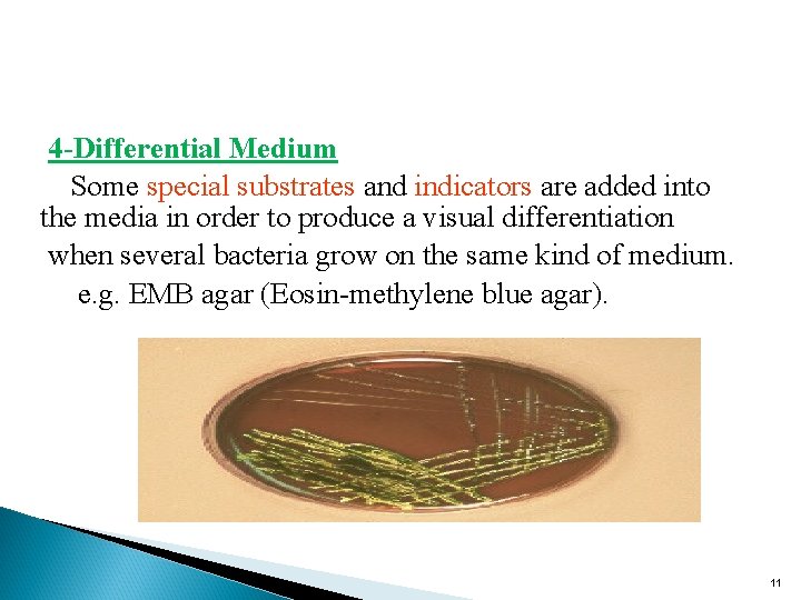 4 -Differential Medium Some special substrates and indicators are added into the media in