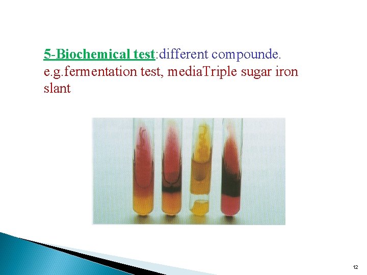 5 -Biochemical test: different compounde. e. g. fermentation test, media. Triple sugar iron slant