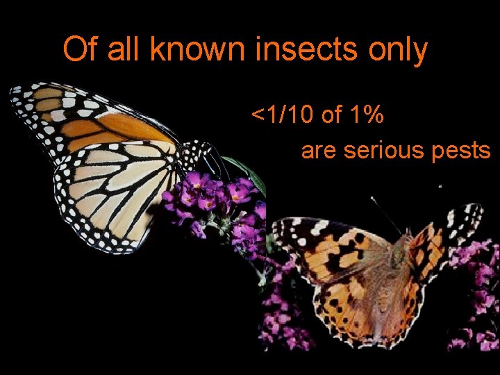 Of all known insects only <1/10 of 1% are serious pests 