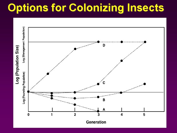 Options for Colonizing Insects 