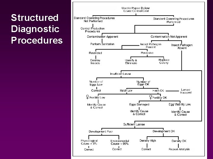 Structured Diagnostic Procedures 