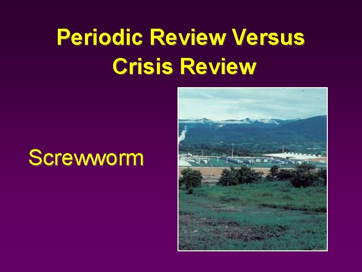 Periodic Review Versus Crisis Review Screwworm 