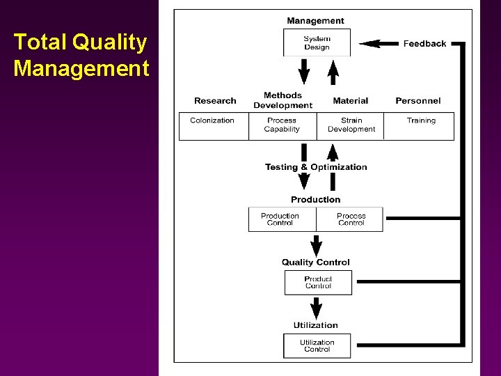 Total Quality Management 