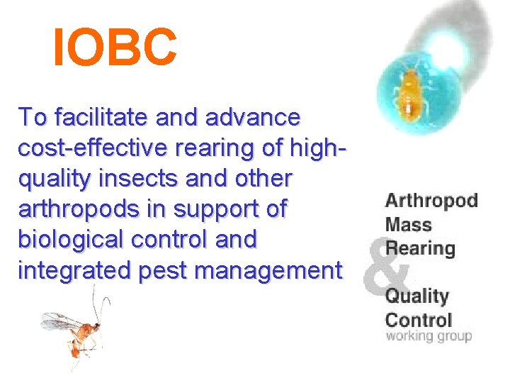 IOBC To facilitate and advance cost-effective rearing of highquality insects and other arthropods in