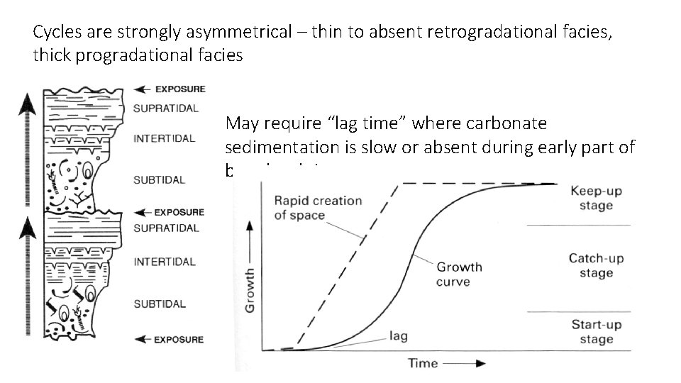 Cycles are strongly asymmetrical – thin to absent retrogradational facies, thick progradational facies May