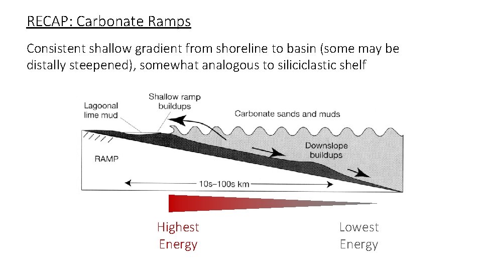 RECAP: Carbonate Ramps Consistent shallow gradient from shoreline to basin (some may be distally