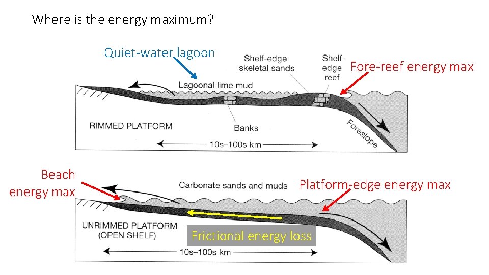 Where is the energy maximum? Quiet-water lagoon Beach energy max Fore-reef energy max Platform-edge