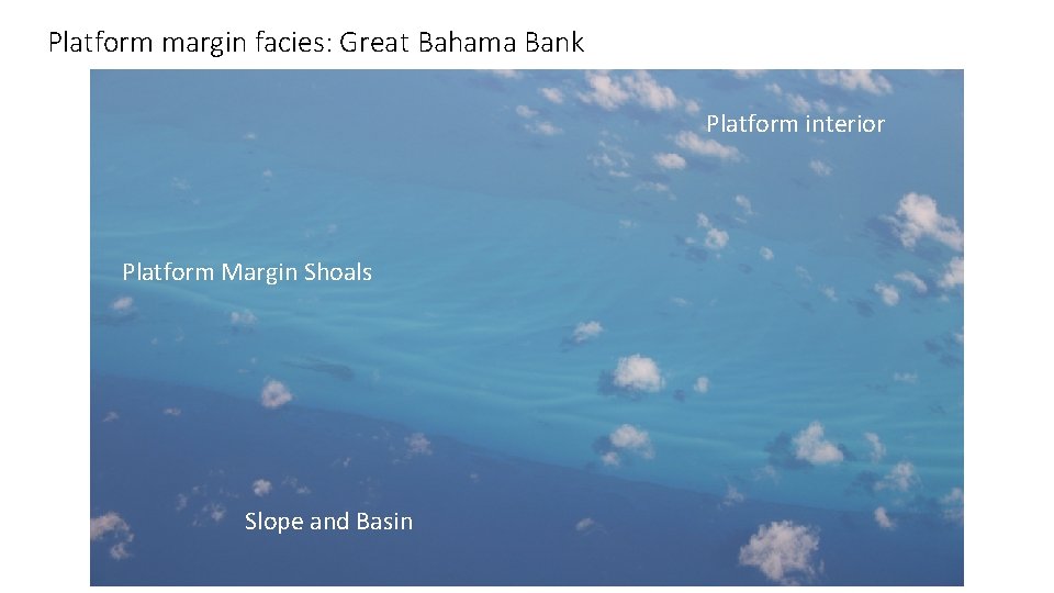 Platform margin facies: Great Bahama Bank Platform interior Platform Margin Shoals Slope and Basin