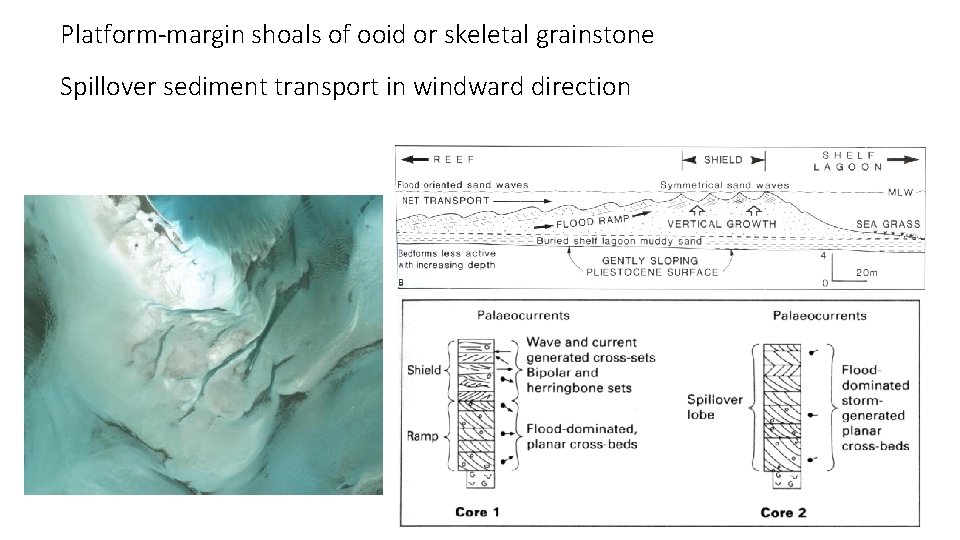 Platform-margin shoals of ooid or skeletal grainstone Spillover sediment transport in windward direction 