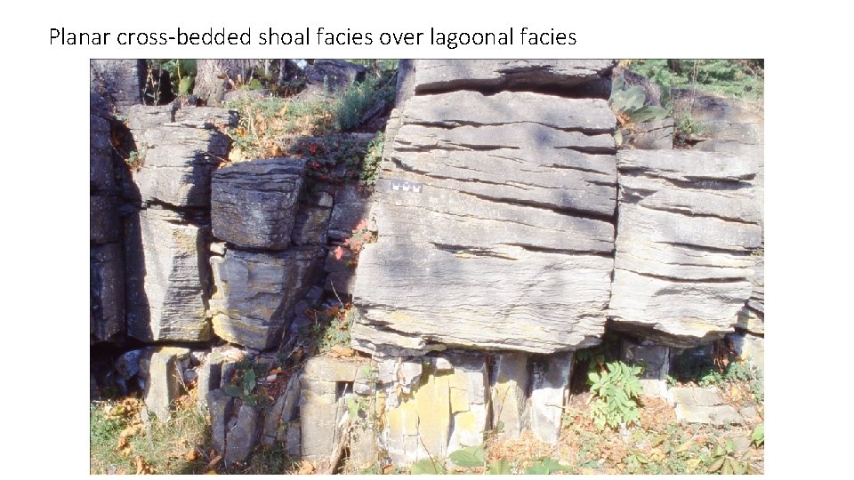 Planar cross-bedded shoal facies over lagoonal facies 