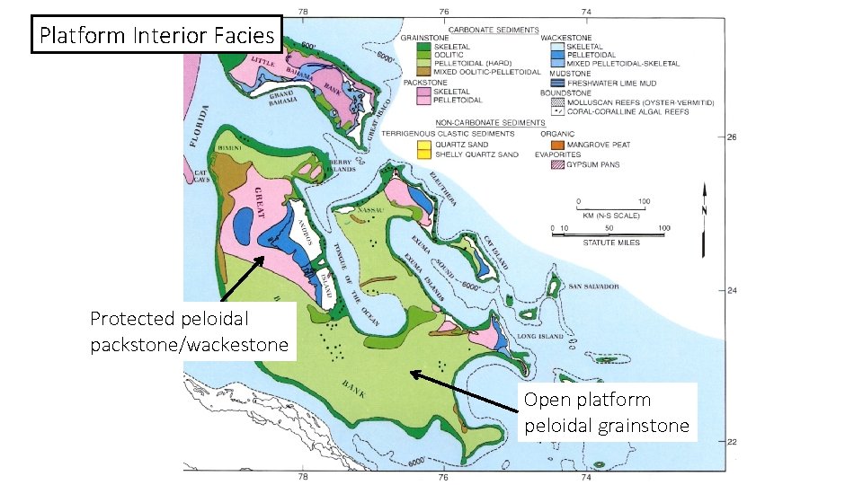 Platform Interior Facies Protected peloidal packstone/wackestone Open platform peloidal grainstone 