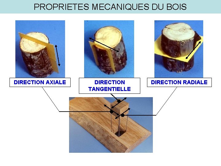 PROPRIETES MECANIQUES DU BOIS DIRECTION AXIALE DIRECTION TANGENTIELLE DIRECTION RADIALE 