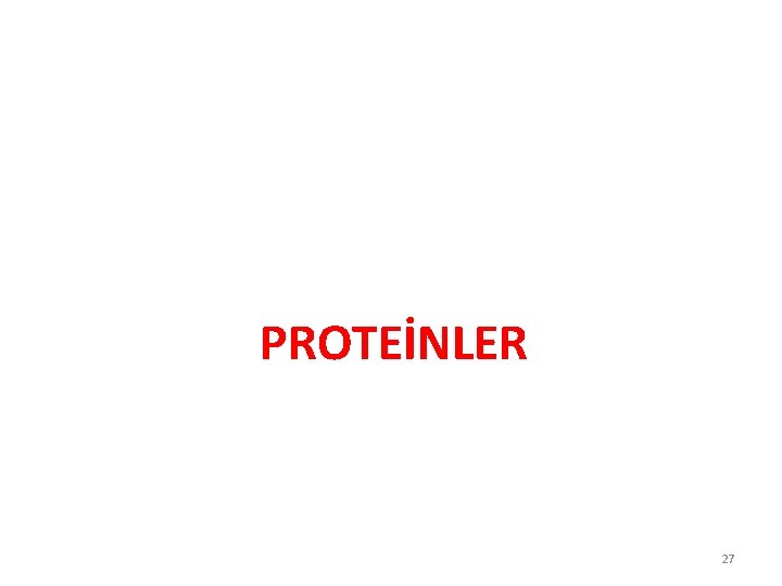 PROTEİNLER 27 