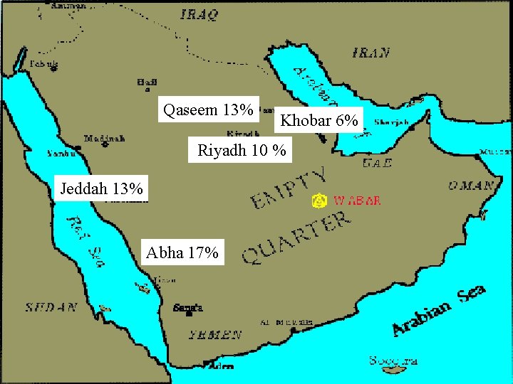 Qaseem 13% Khobar 6% Riyadh 10 % Jeddah 13% Abha 17% 