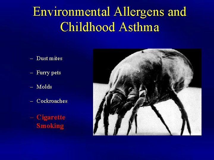Environmental Allergens and Childhood Asthma – Dust mites – Furry pets – Molds –
