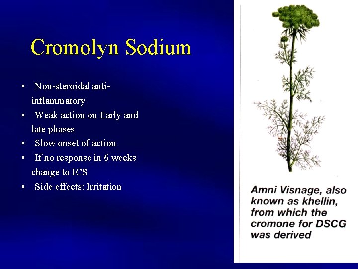 Cromolyn Sodium • Non-steroidal antiinflammatory • Weak action on Early and late phases •