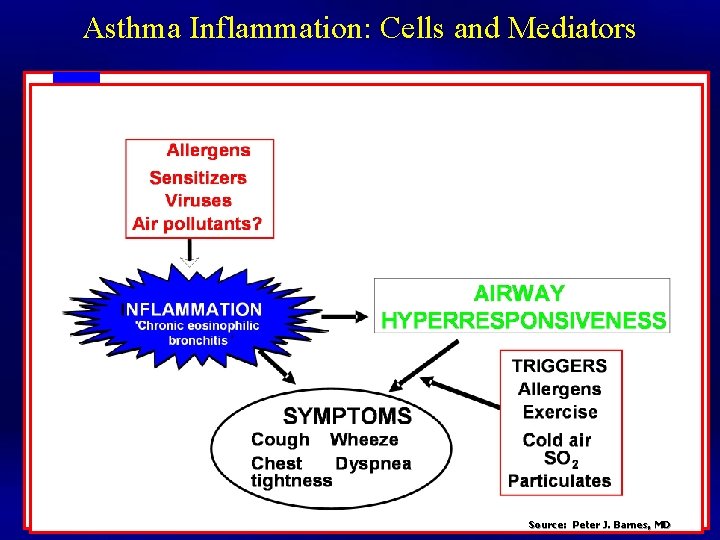 Asthma Inflammation: Cells and Mediators Source: Peter J. Barnes, MD 