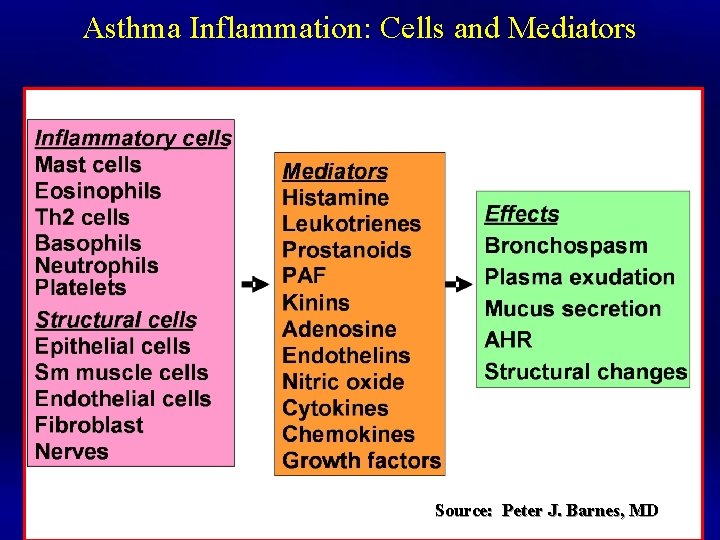Asthma Inflammation: Cells and Mediators Source: Peter J. Barnes, MD 