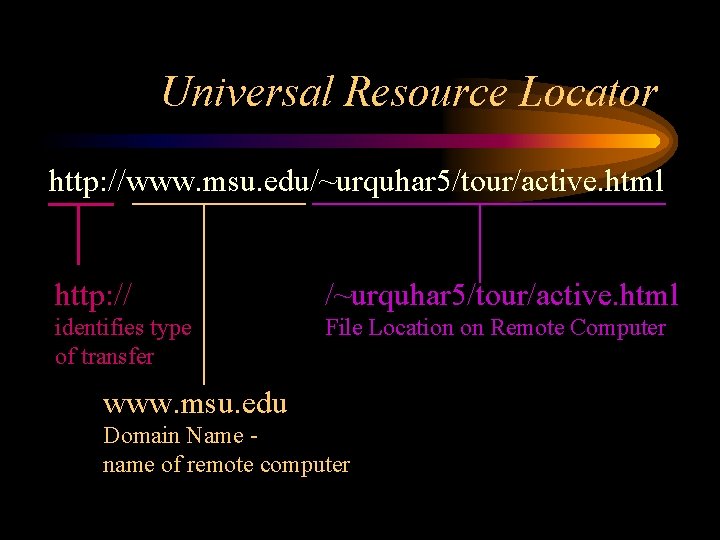 Universal Resource Locator http: //www. msu. edu/~urquhar 5/tour/active. html http: // /~urquhar 5/tour/active. html