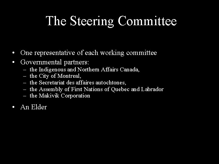 The Steering Committee • One representative of each working committee • Governmental partners: –