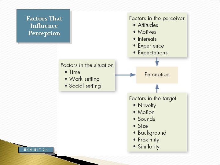 Factors That Influence Perception E X H I B I T 2– 1 