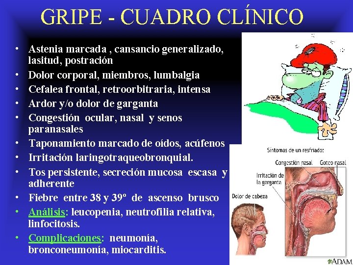 GRIPE - CUADRO CLÍNICO • Astenia marcada , cansancio generalizado, lasitud, postración • Dolor