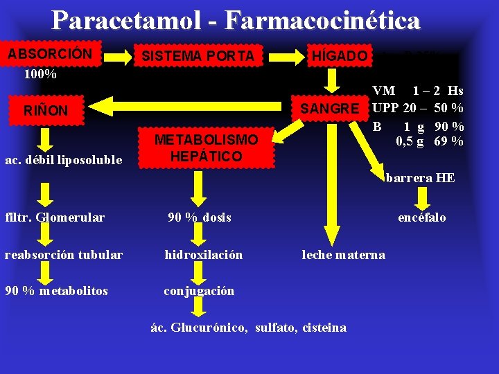 Paracetamol - Farmacocinética ABSORCIÓN SISTEMA PORTA efecto 1 ra P 25% HÍGADO 100% RIÑON