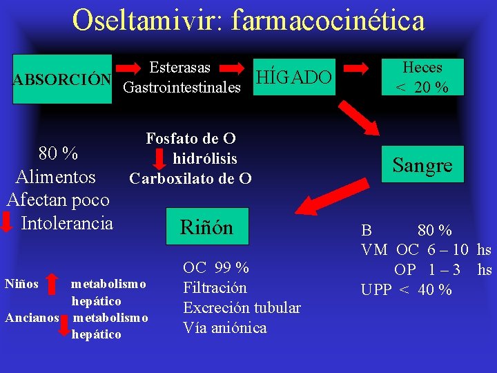 Oseltamivir: farmacocinética Esterasas ABSORCIÓN Gastrointestinales HÍGADO 80 % Alimentos Afectan poco Intolerancia Niños Fosfato