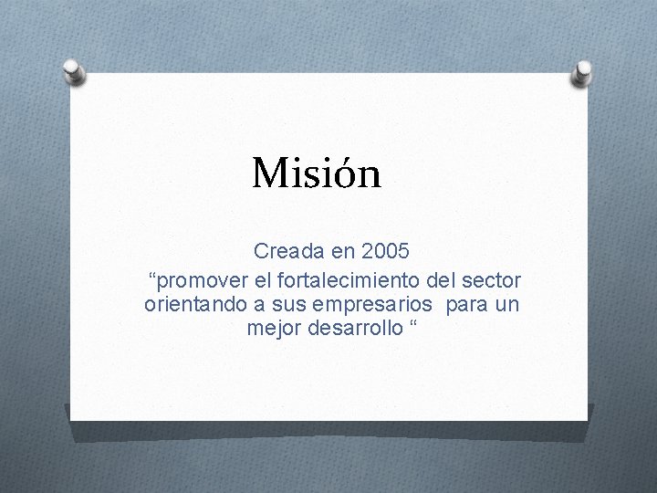 Misión Creada en 2005 “promover el fortalecimiento del sector orientando a sus empresarios para