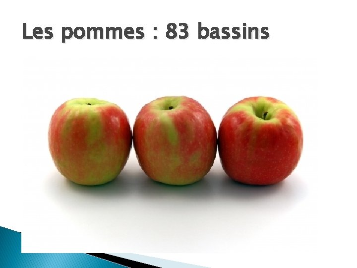 Les pommes : 83 bassins 