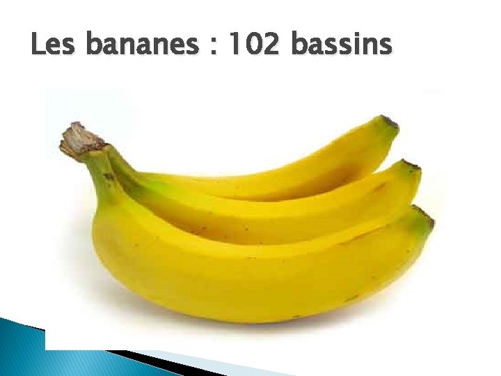 Les bananes : 102 bassins 