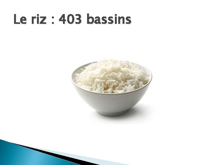 Le riz : 403 bassins 