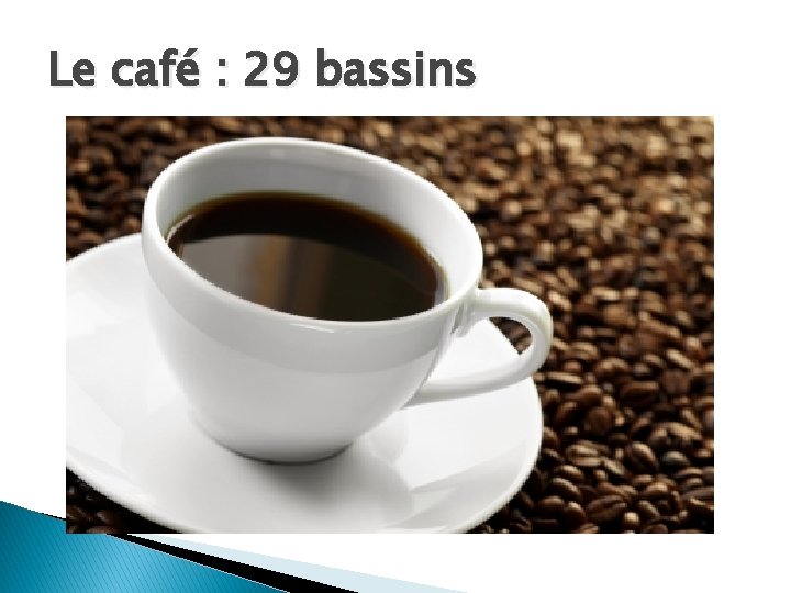 Le café : 29 bassins 