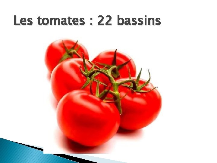 Les tomates : 22 bassins 