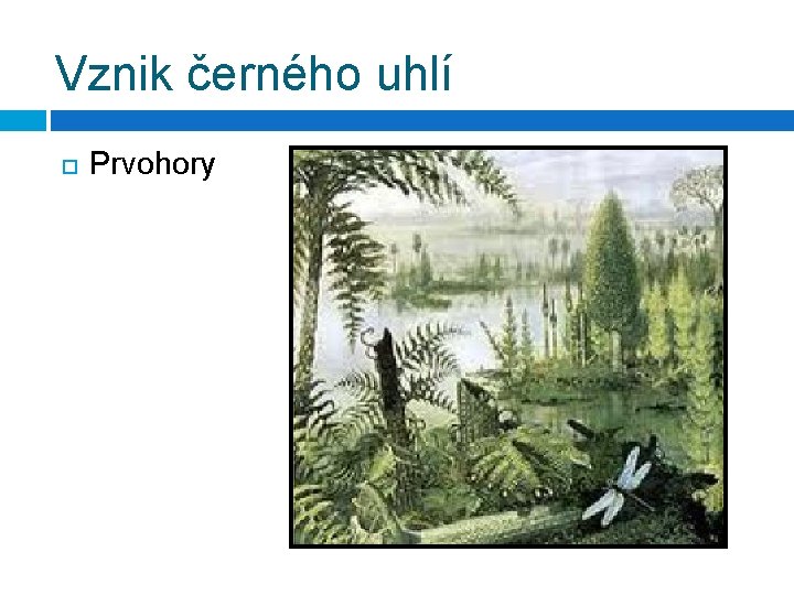 Vznik černého uhlí Prvohory 