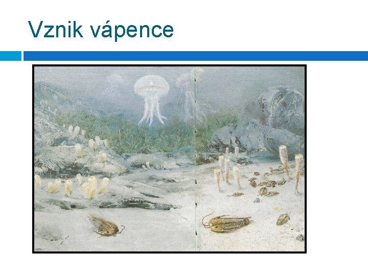 Vznik vápence 