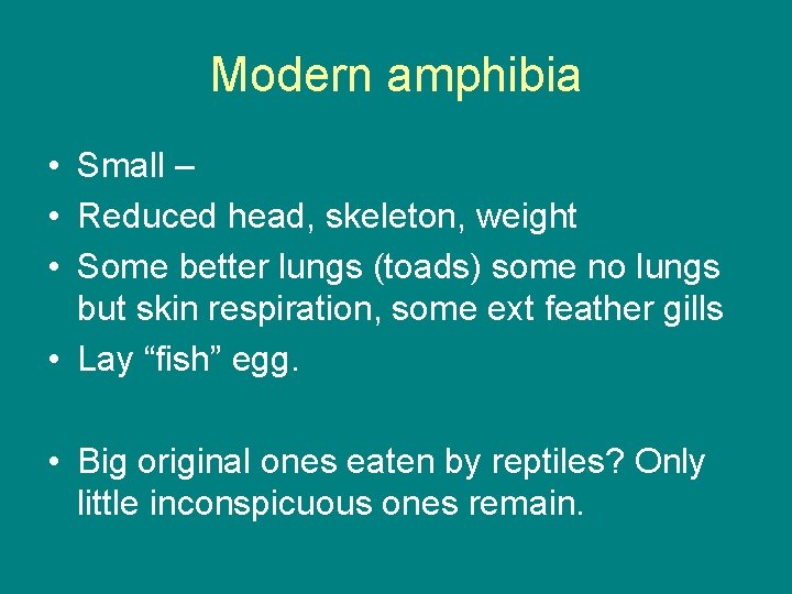Modern amphibia • Small – • Reduced head, skeleton, weight • Some better lungs