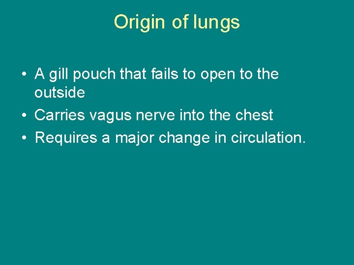 Origin of lungs • A gill pouch that fails to open to the outside