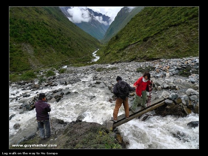 Log walk on the way to Mu Gompa 