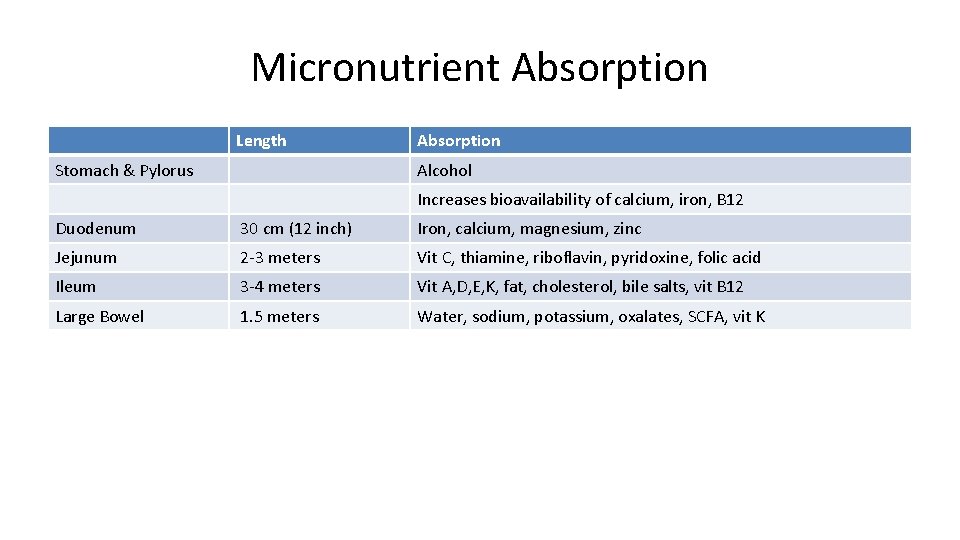 Micronutrient Absorption Length Stomach & Pylorus Absorption Alcohol Increases bioavailability of calcium, iron, B
