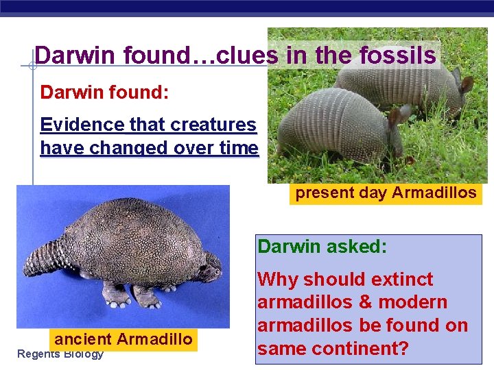 Darwin found…clues in the fossils Darwin found: Evidence that creatures have changed over time