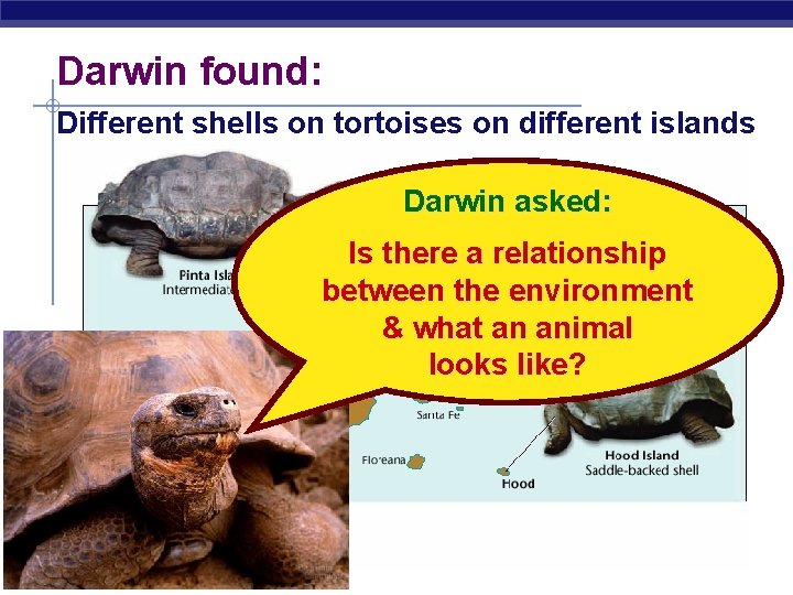 Darwin found: Different shells on tortoises on different islands Darwin asked: Is there a