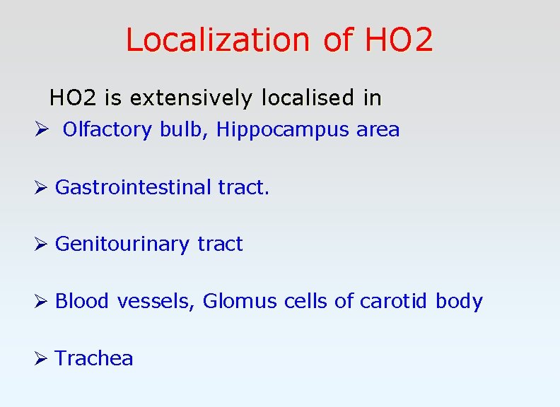 Localization of HO 2 is extensively localised in Ø Olfactory bulb, Hippocampus area Ø