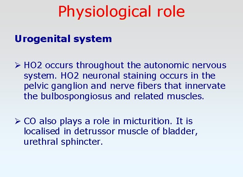 Physiological role Urogenital system Ø HO 2 occurs throughout the autonomic nervous system. HO