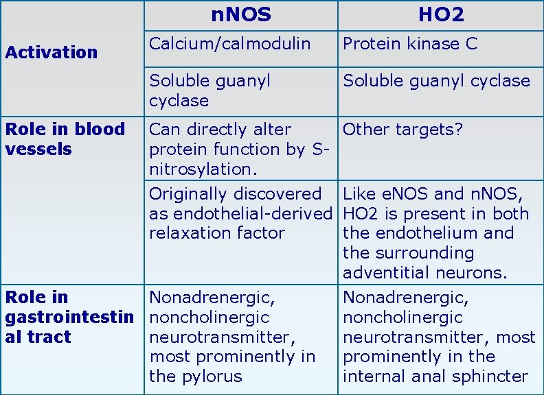 n. NOS Activation Role in blood vessels HO 2 Calcium/calmodulin Protein kinase C Soluble