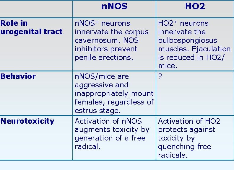 n. NOS HO 2 Role in urogenital tract n. NOS+ neurons innervate the corpus