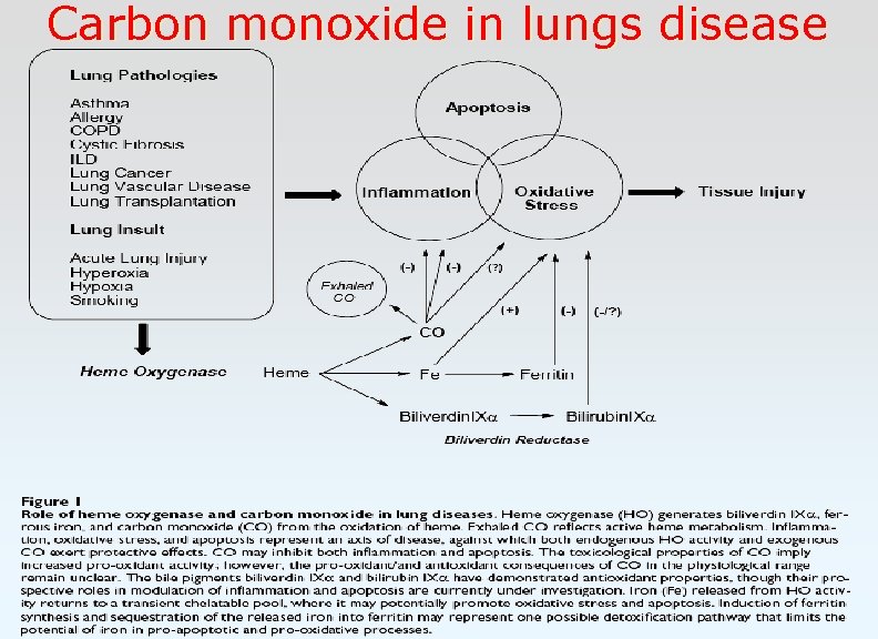 Carbon monoxide in lungs disease 