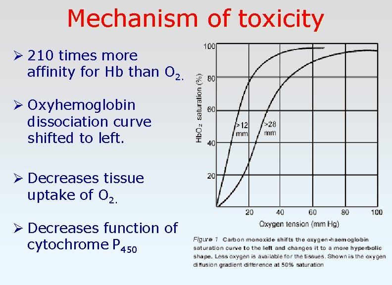 Mechanism of toxicity Ø 210 times more affinity for Hb than O 2. Ø